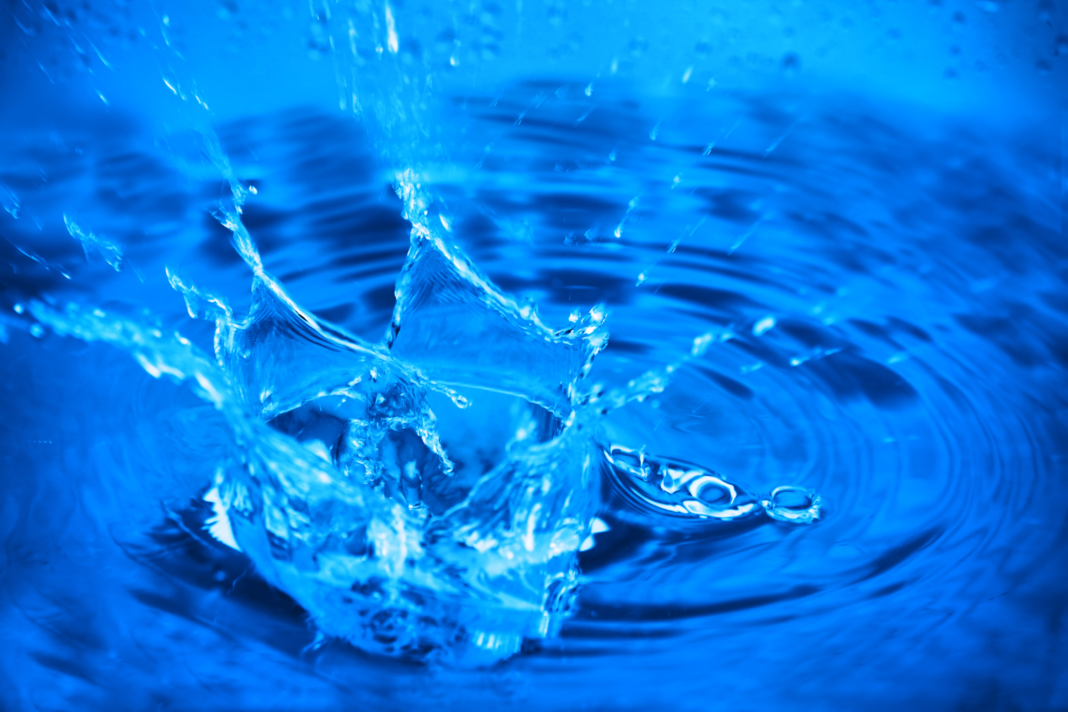 Out of hours water audit